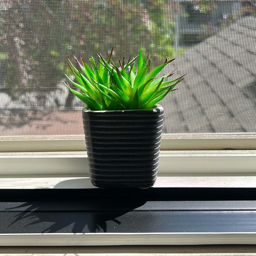 Modern Black Planter with Green Faux Succulent